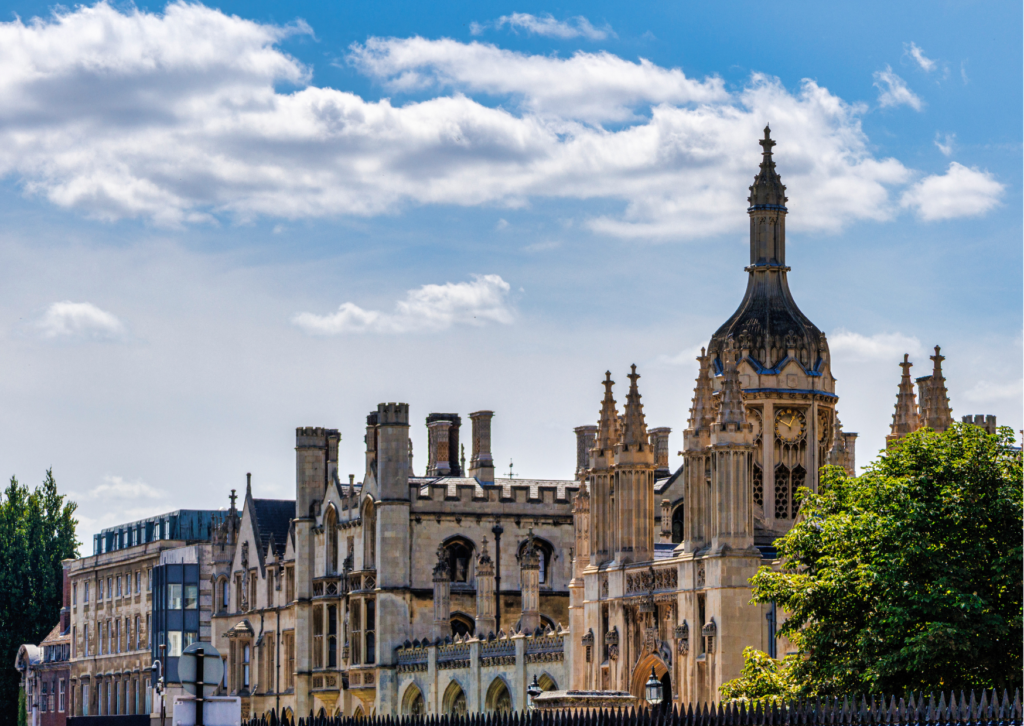 Untitled design (27)